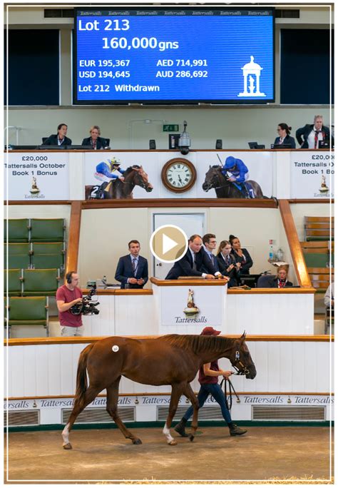 Tattersalls Sale Results.